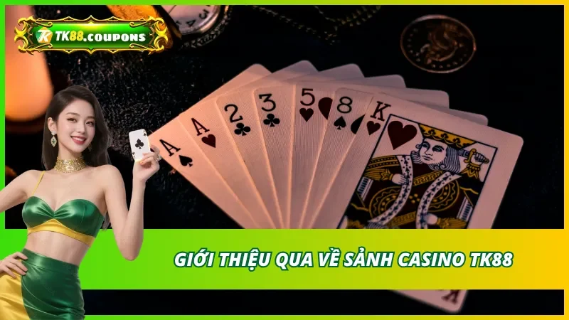 Khái quát về sảnh cược hàng đầu tại TK88